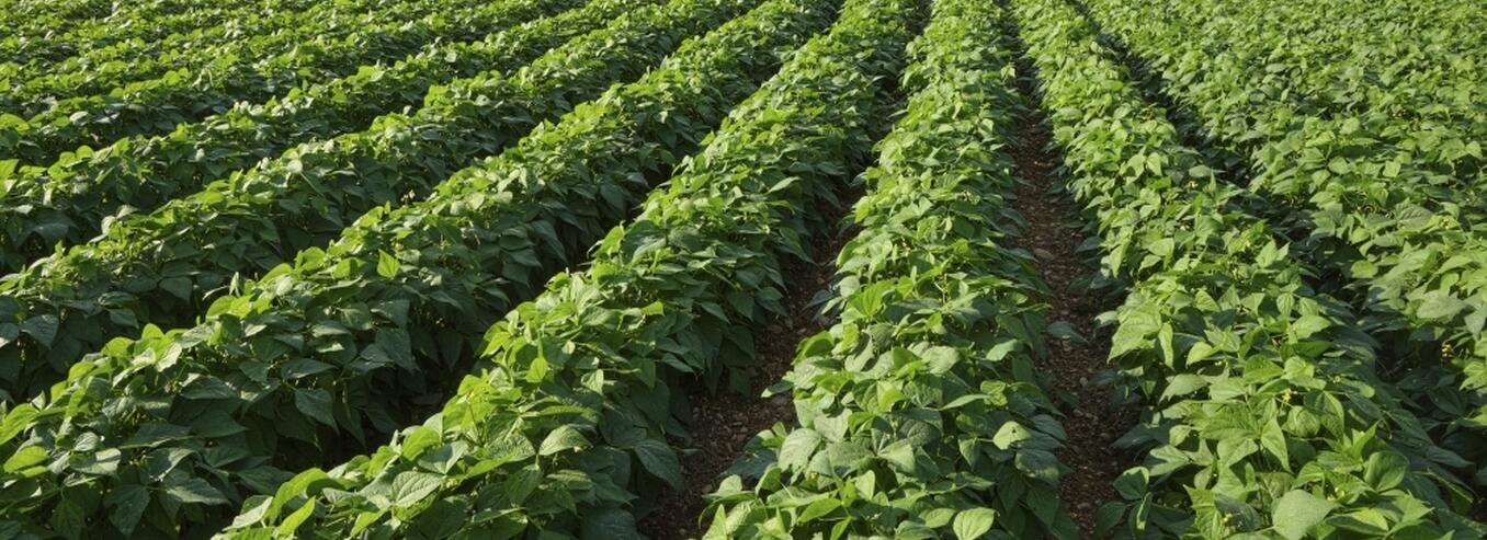 SCIENCE ET INNOVATION