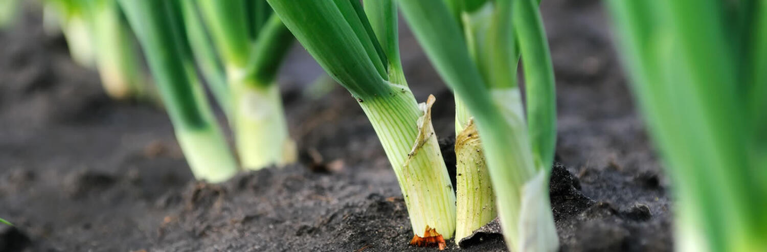 DES SOLUTIONS POUR RÉDUIRE